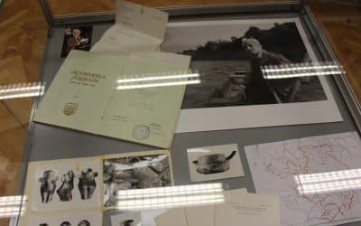 Легат академика Николе Тасића у Универзитетској библиотеци у Крагујевцу